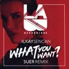 What You Want