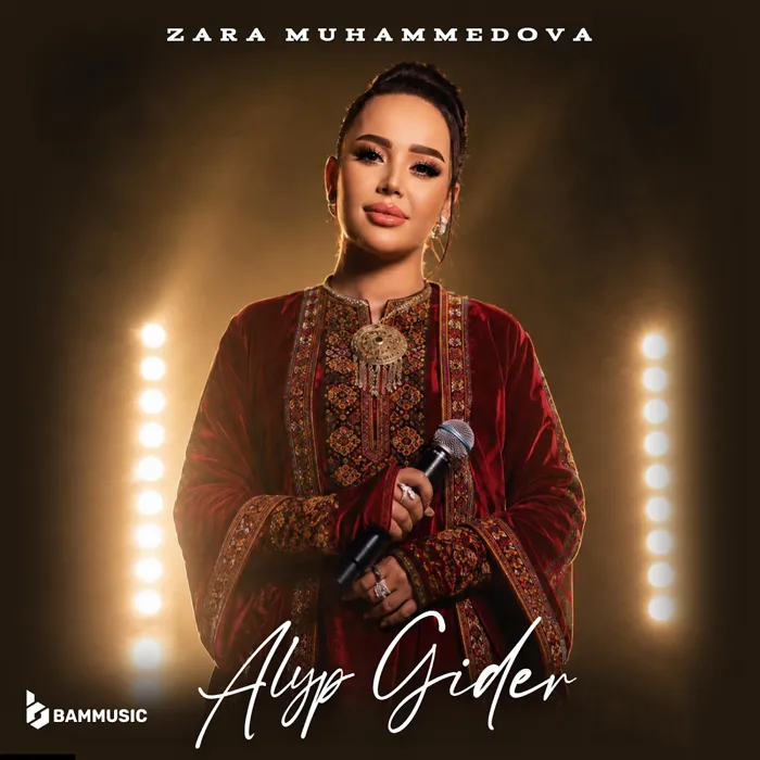 Alyp gider