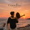 Goodbye
