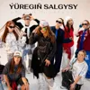 Ýüregiň salgysy
