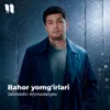Bahor Yomg'irlari
