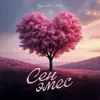 Сен эмес