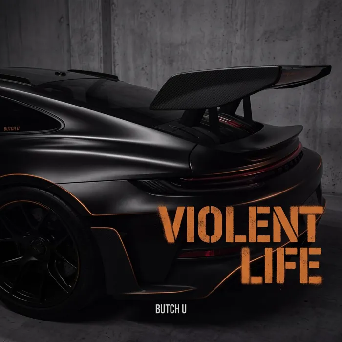 Violent Life