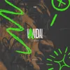 Vandal