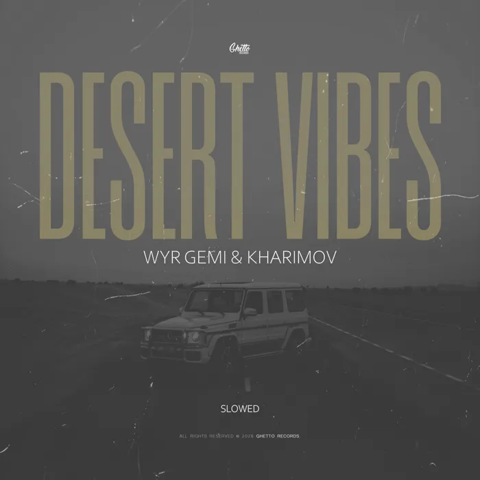Desert Vibes (Slowed)