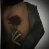 Дамы, Slowed