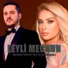 Leyli Mecnun