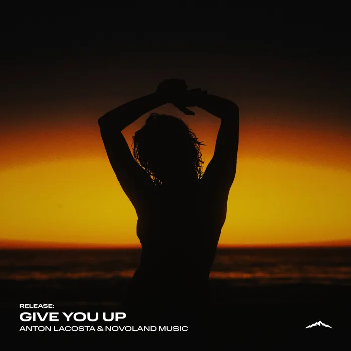 Give You Up