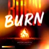 Burn