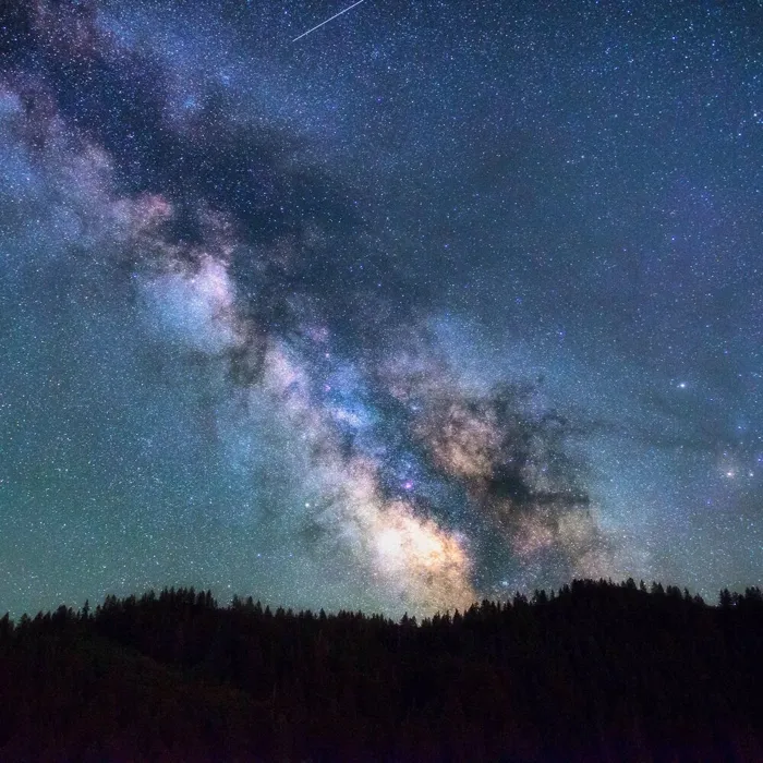36 Instantly Soothing Melodies for Relaxation and Stress Relief