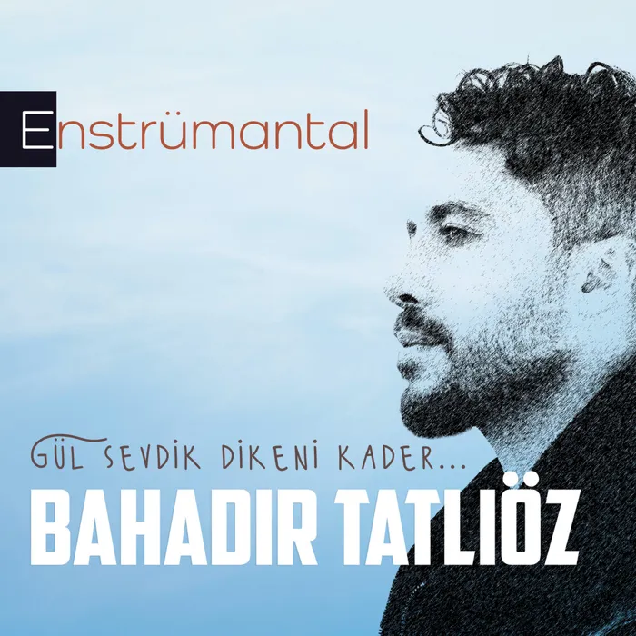 Gül Sevdik Dikeni Kader
