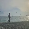 На юг