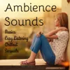 Ambience Sounds
