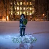 Новогодняя
