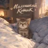 Маленький котик