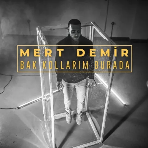 Bak Kollarım Burada