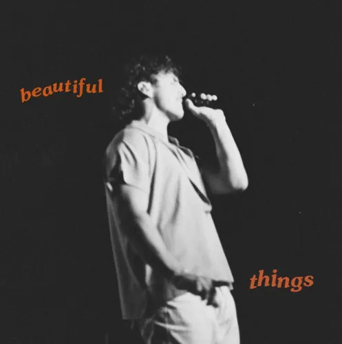 Beautiful Things