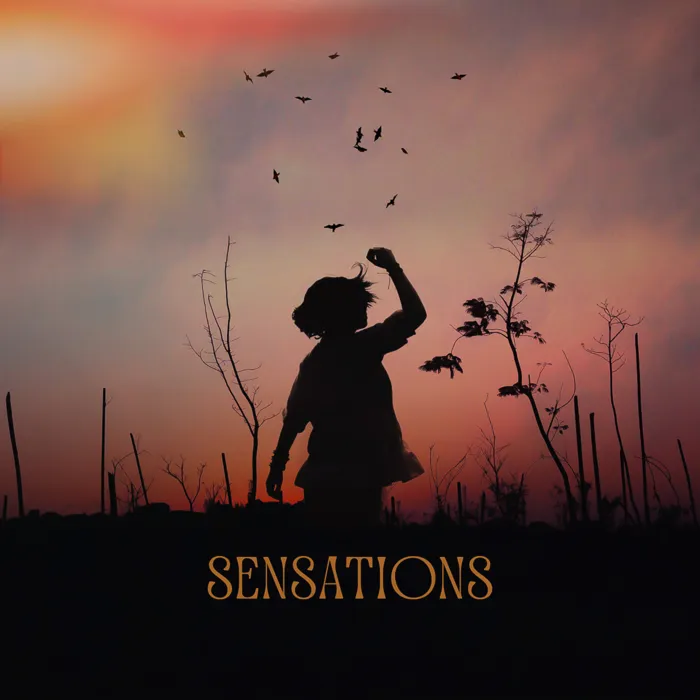 Sensations