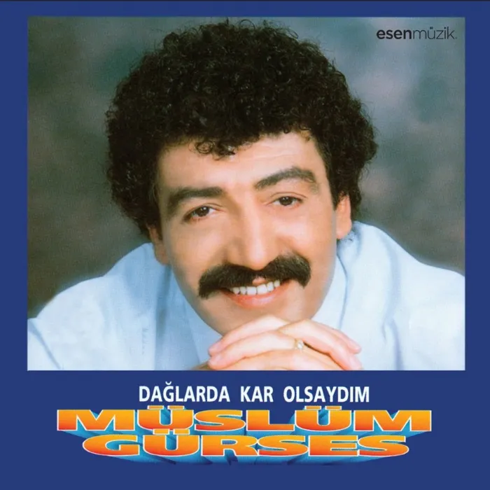 Dağlarda Kar Olsaydım