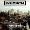 Not Giving In (Phaeleh Remix) (Feat. John Newman & Alex Clare)