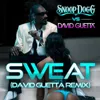 Sweat David (feat. David Guetta Remix)