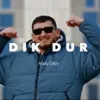 Dik Dur