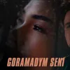 Goramadym seni (feat. Karim Habibow)