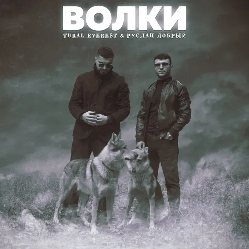 Волки (feat. Tural Everest)