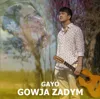 Gowja zadym