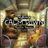 Calm Down (Rustic Remix)