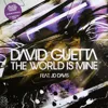 The World Is Mine (feat. JD Davis - Radio Edit)