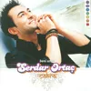 Adam Gibi