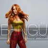 Saygimdan ( Mustafa Yildirim Remix )