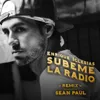 SUBEME LA (RADIO REMIX)