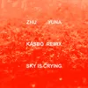 Sky Is Crying (Kasbo Remix)