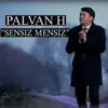 Sensiz mensiz