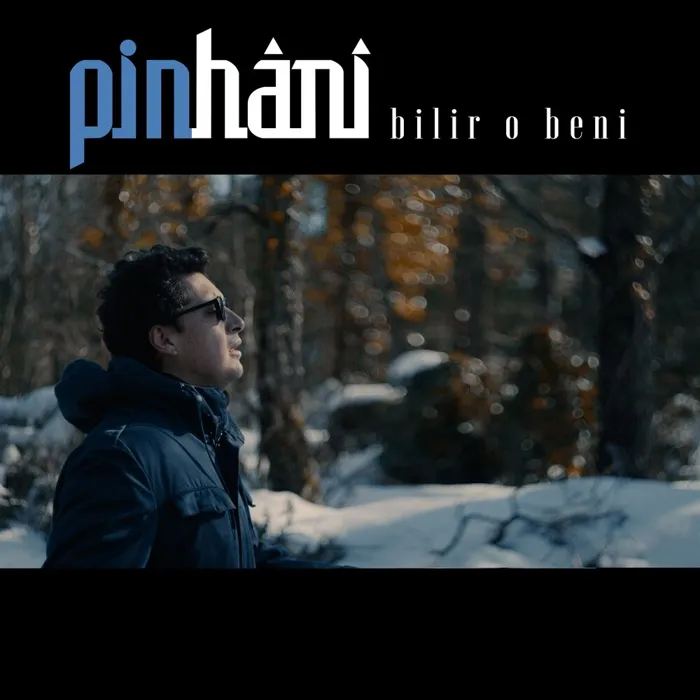 Pinhani