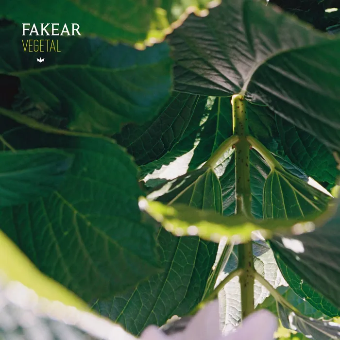 Fakear