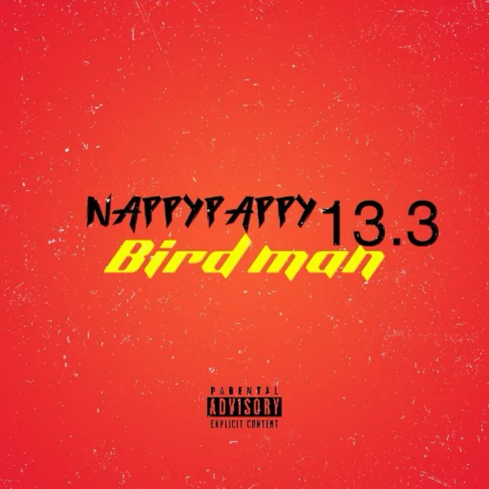 Nappy pappy13.3