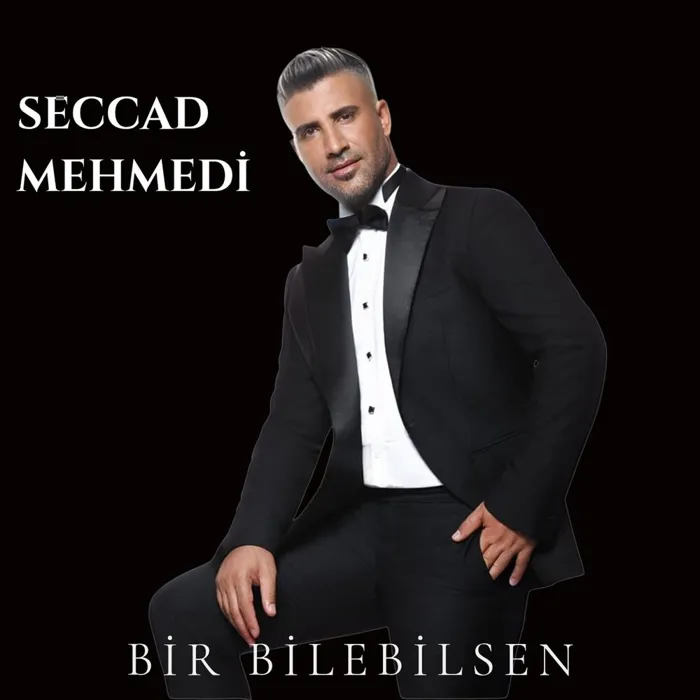 Seccad Mehmedi