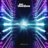 Ilan Bluestone
