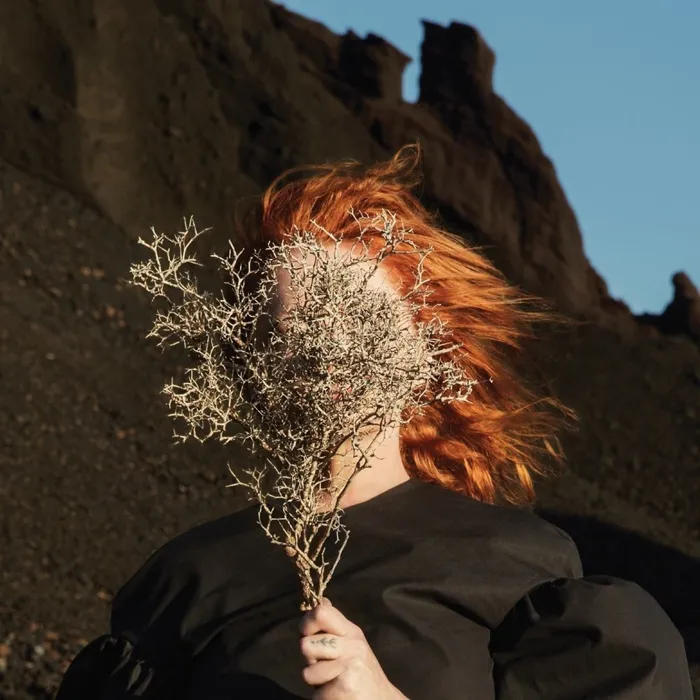 Goldfrapp