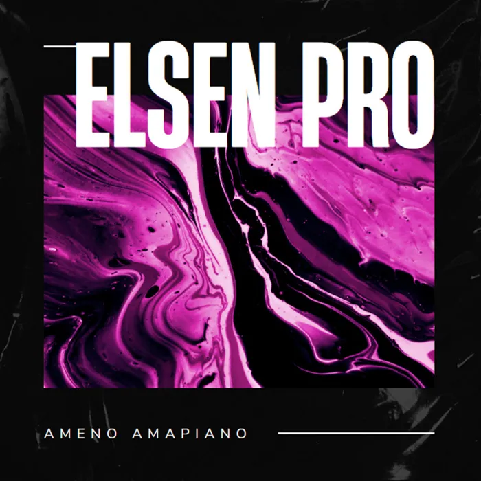 Elsen Pro
