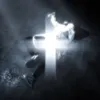 zxcursed