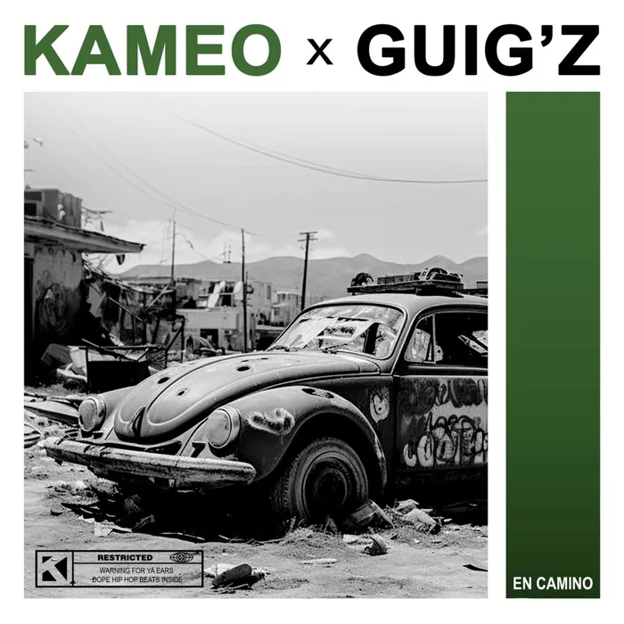 Kameo