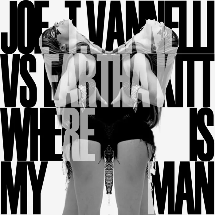 Joe T Vanelli