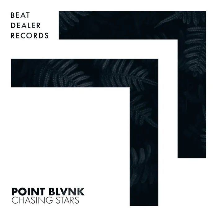 POINT BLVNK