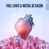 Yoel Lewis