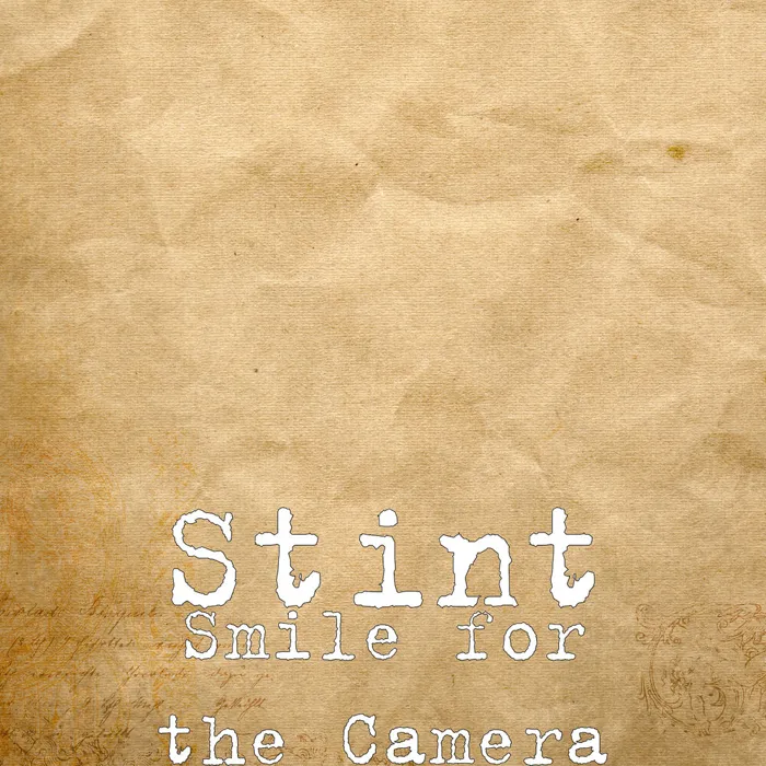 STINT