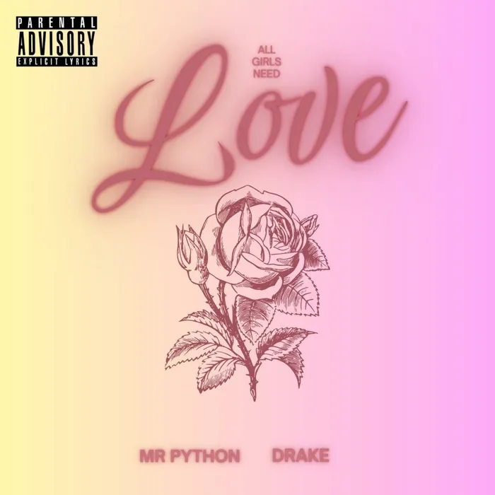 Mr Python